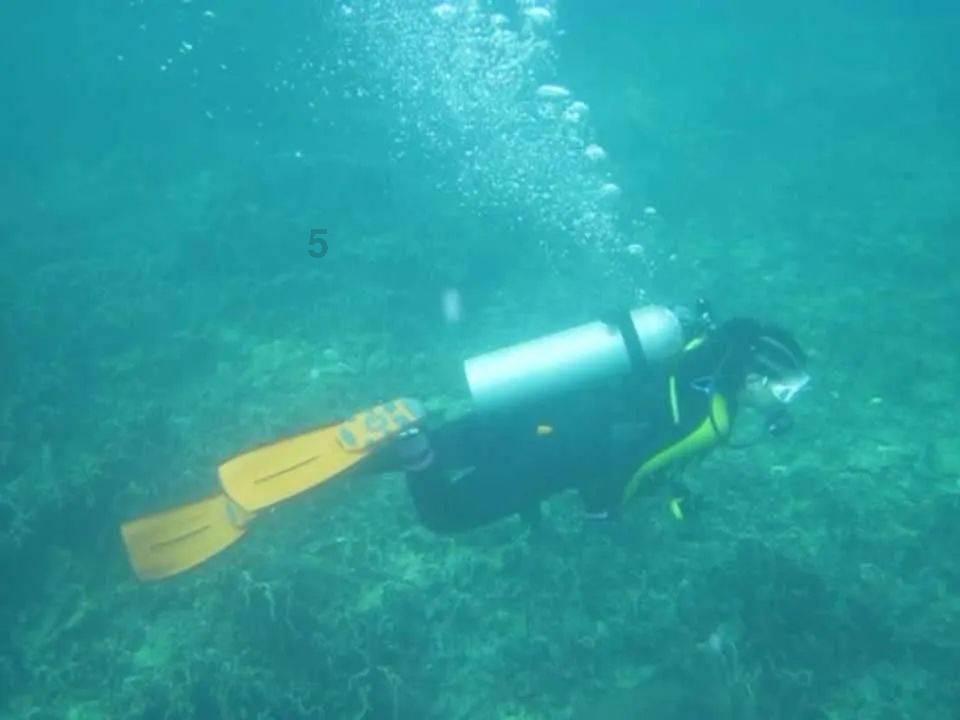 家庭意外