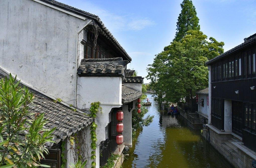 动物家园守卫战