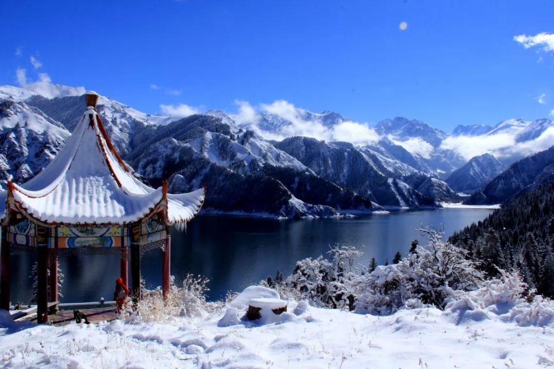 成都温江一社区发布儿童友好生态圈研学路线